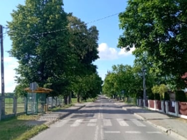 Działka siedliskowa Dąbrowa