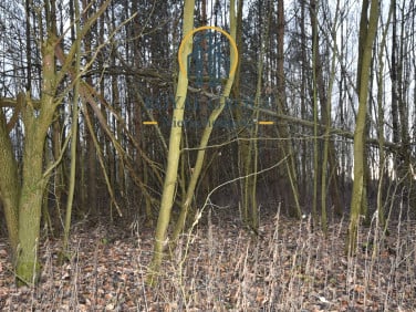 Działka leśna Jawidz