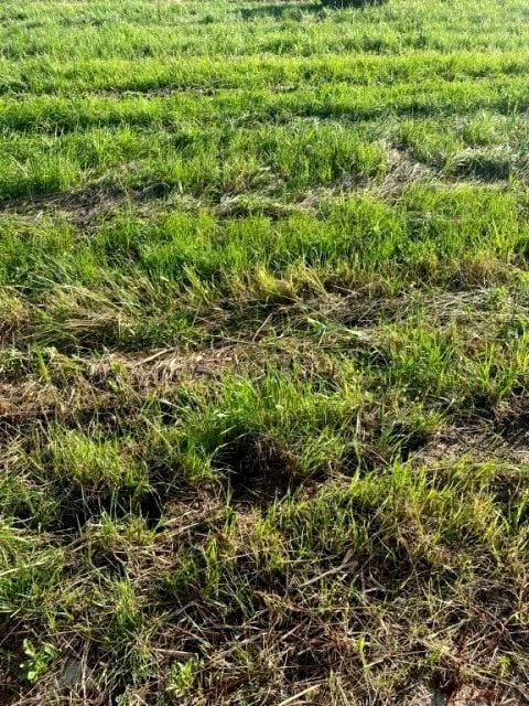 Działka budowlana Orzechowo