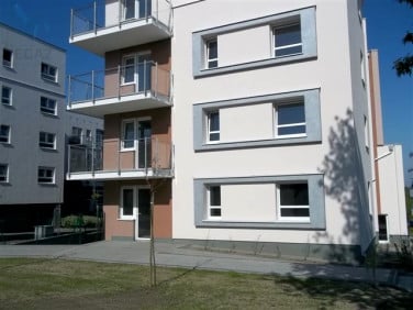 Lokal Poznań