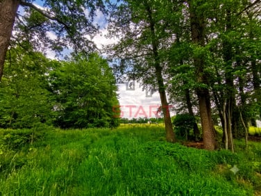 Działka budowlana Kałęczyn