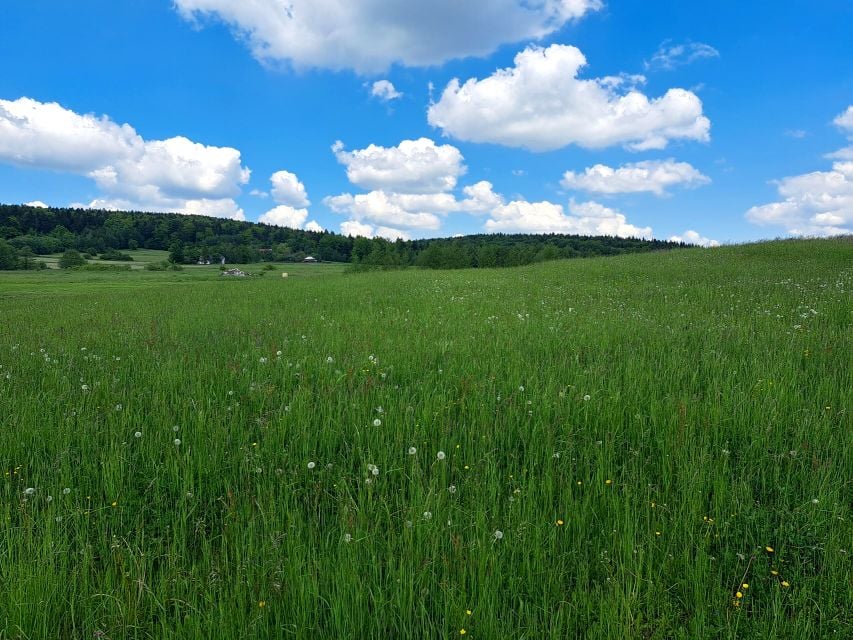 Działka budowlana Lipinki