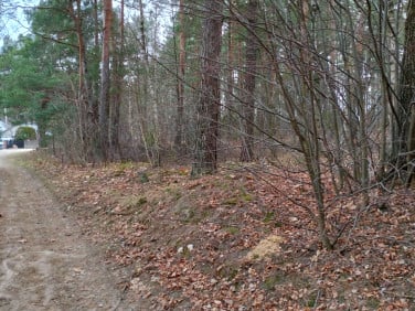 Działka leśna Hermanówka