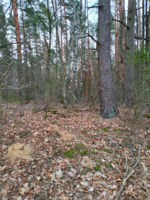 Zdjęcie 2