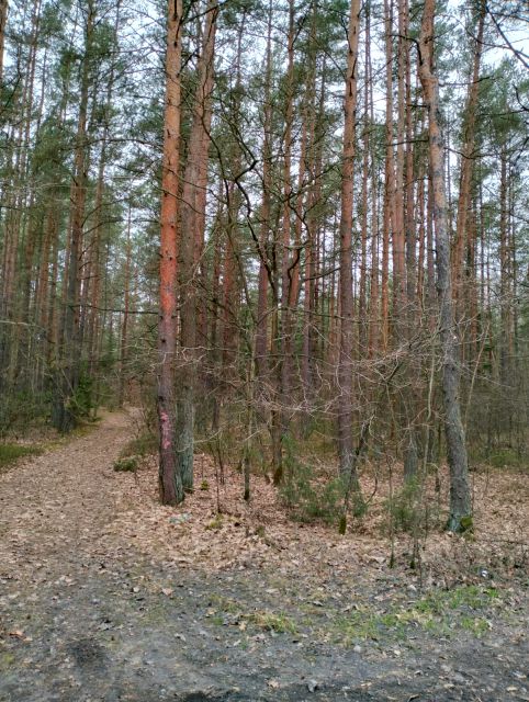 Zdjęcie 3
