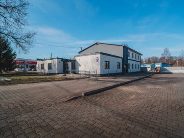 Lokal Tczew wynajem