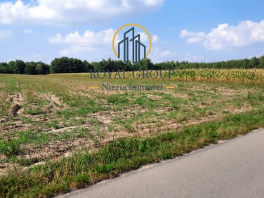 Działka Rudno