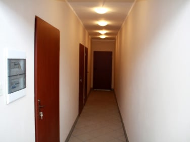 Budynek użytkowy Brzesko wynajem