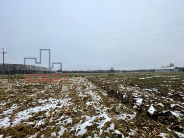 Działka rolna Studzieniec