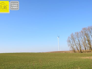 Działka rolna Zielonka Pasłęcka