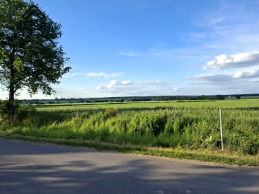 Działka budowlana Skrzynice Pierwsze