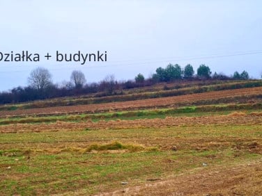 Działka Wysokie