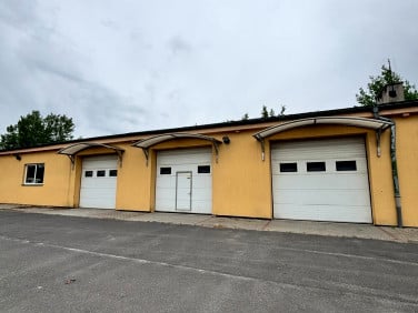 Lokal Gniezno