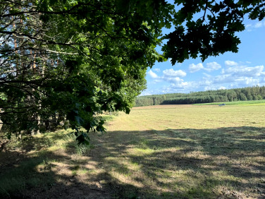 Działka Kopce