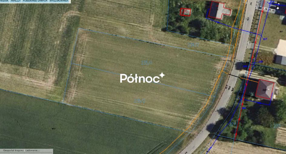 Zdjęcie 3