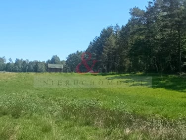 Działka Nowa Wieś Przywidzka