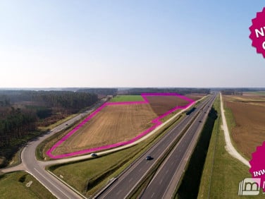 Działka rolna Kikorze