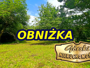 Działka Dębowiec