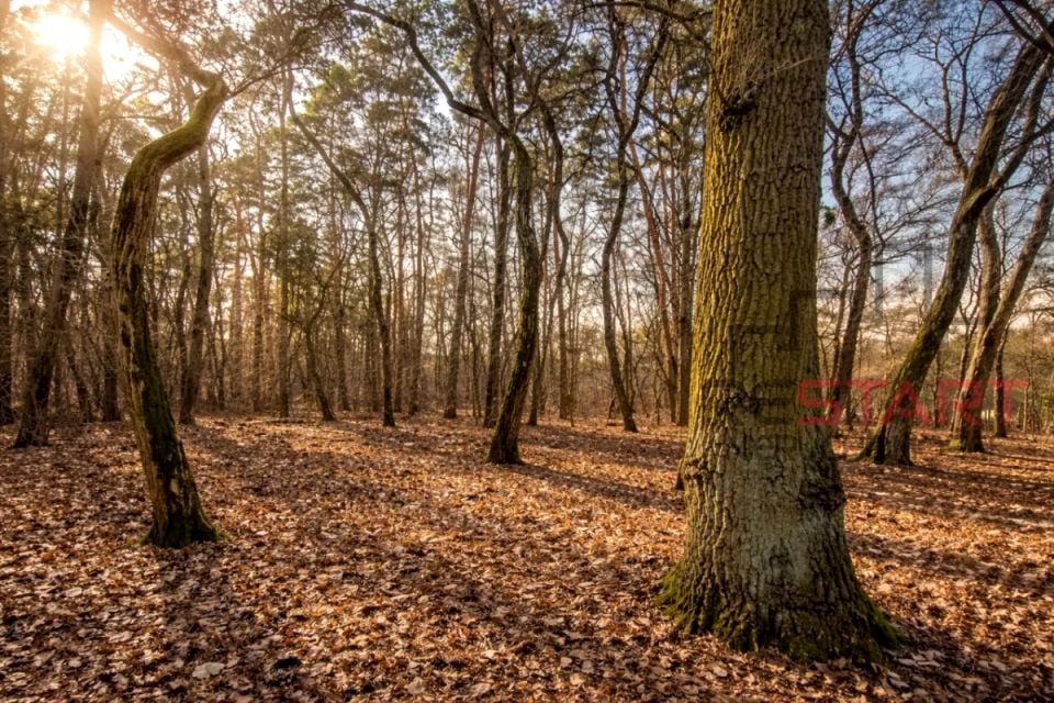Działka budowlana Książenice