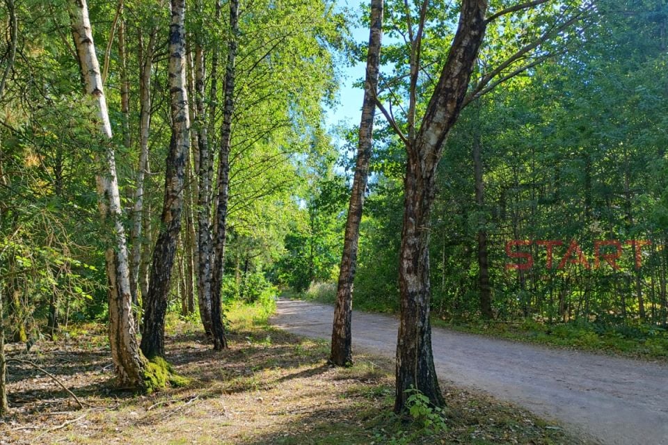 Działka usługowa Marków-Świnice