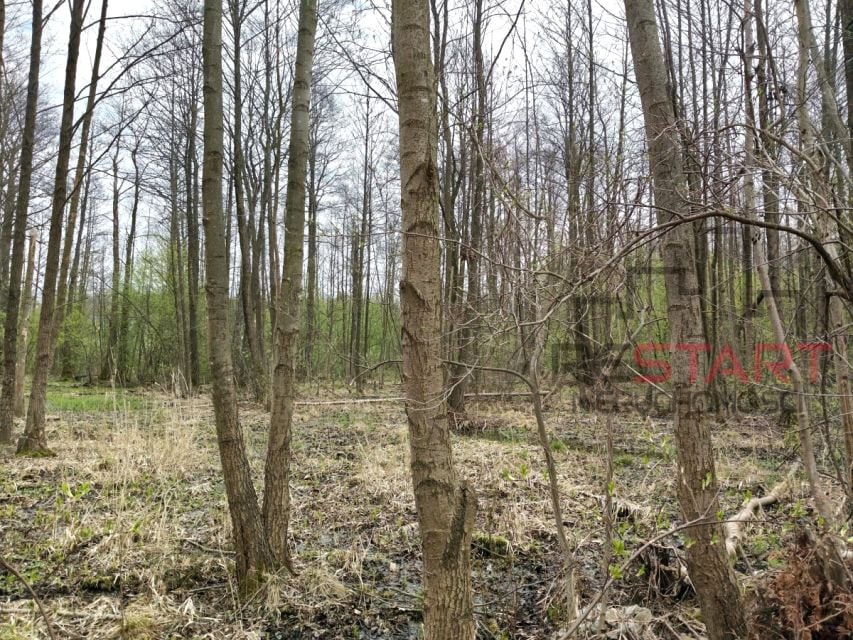 Działka budowlana Adamowizna