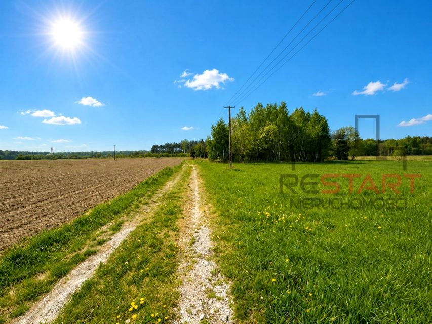 Zdjęcie 2