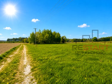 Działka inna Korabiewice