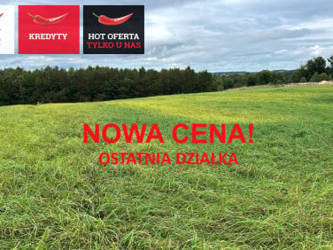 Działka budowlana Łebno sprzedam