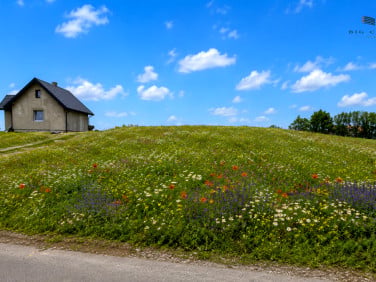 Działka siedliskowa Antoniów-Kolonia sprzedam