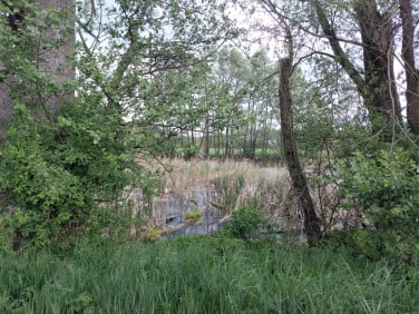 Działka budowlana Świętochów sprzedam