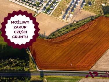 Działka usługowa Zbrudzewo sprzedam