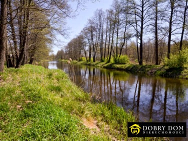 Działka budowlana Rygol