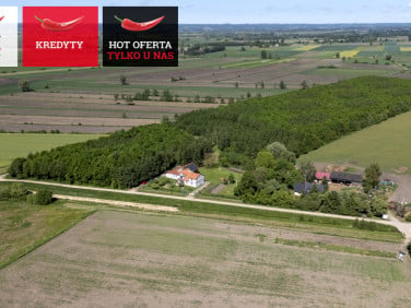 Dom wolnostojący sprzedaż