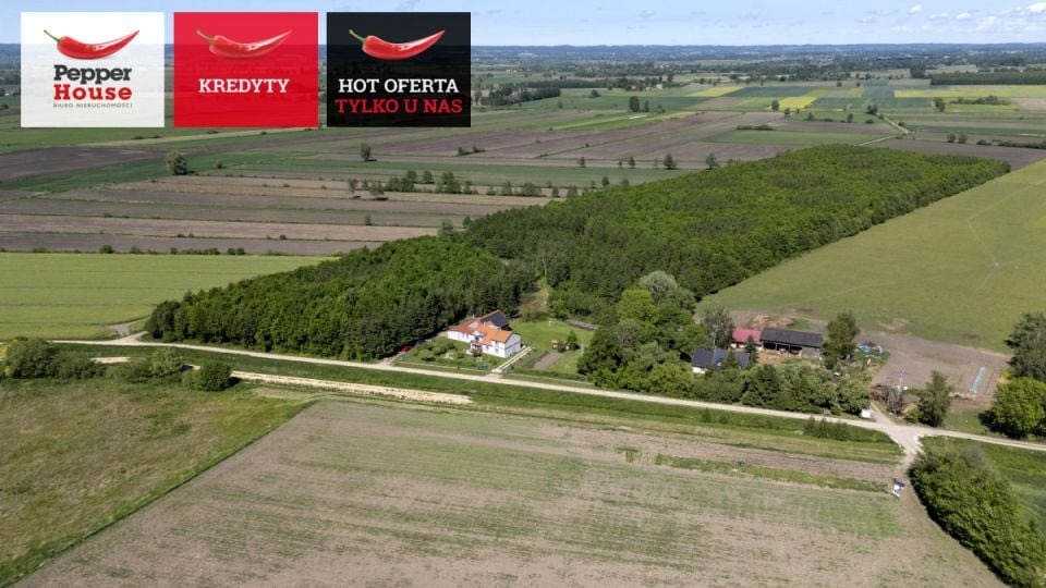 Dom wolnostojący sprzedaż