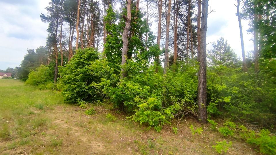 Zdjęcie 2
