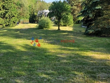Działka Zalesie Górne