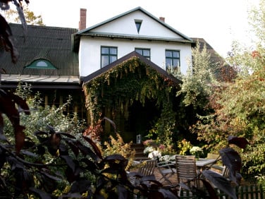 Lokal Kazimierz Dolny