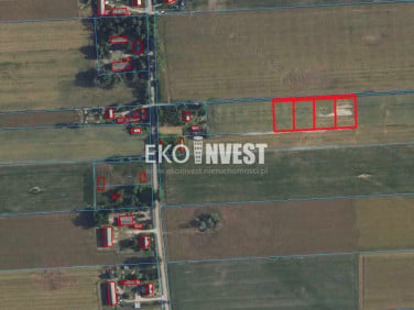 Działka Pękowo