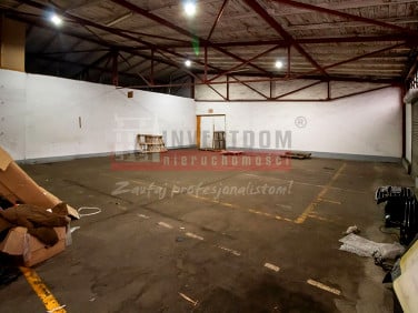 Lokal Opole