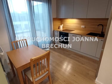 Mieszkanie apartamentowiec wynajem