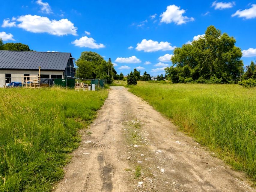 Zdjęcie 3