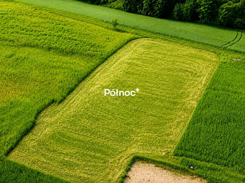 Zdjęcie 2