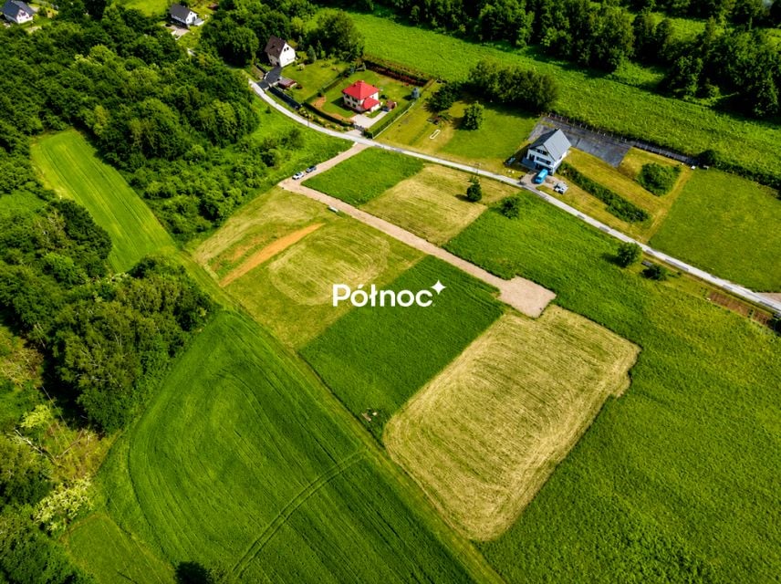 Zdjęcie 3
