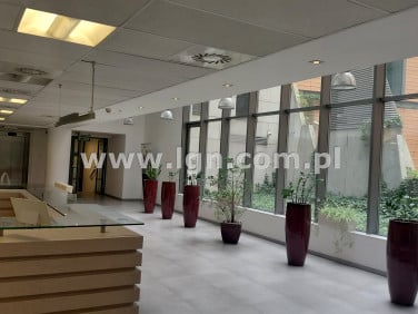 Lokal Lublin