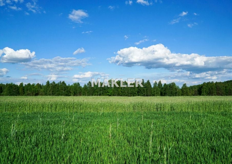 Działka Gliszcz