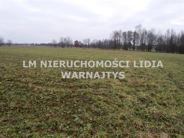 Działka usługowa Czerwionka-Leszczyny