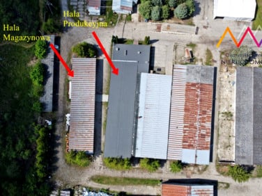 Lokal Morąg
