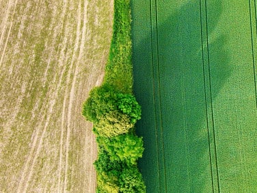 Działka Rynarzewo