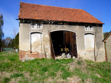 Dom Kaczorów