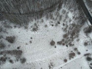 Działka inwestycyjna Rybnica